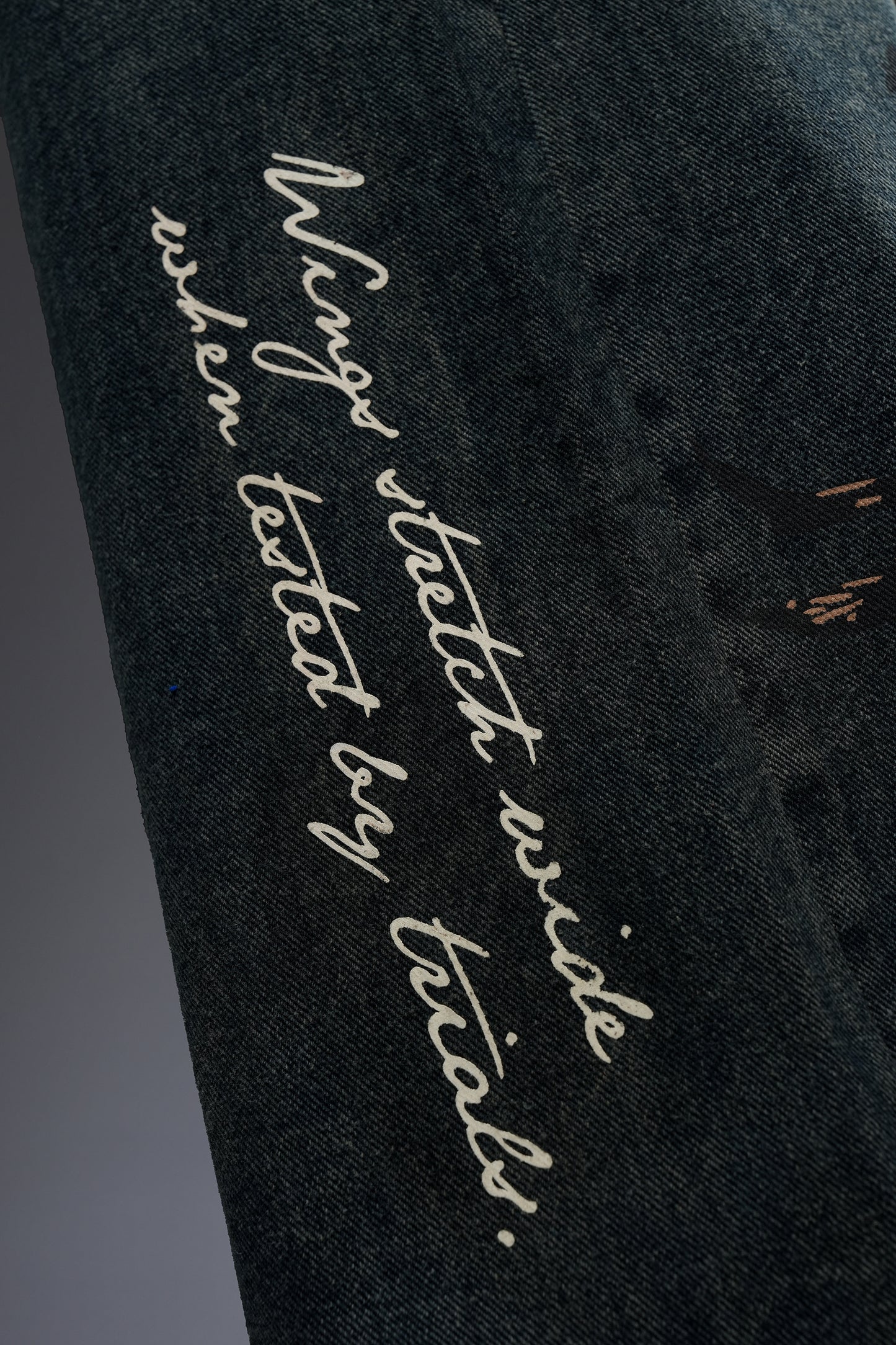 Raptor 22 Denim