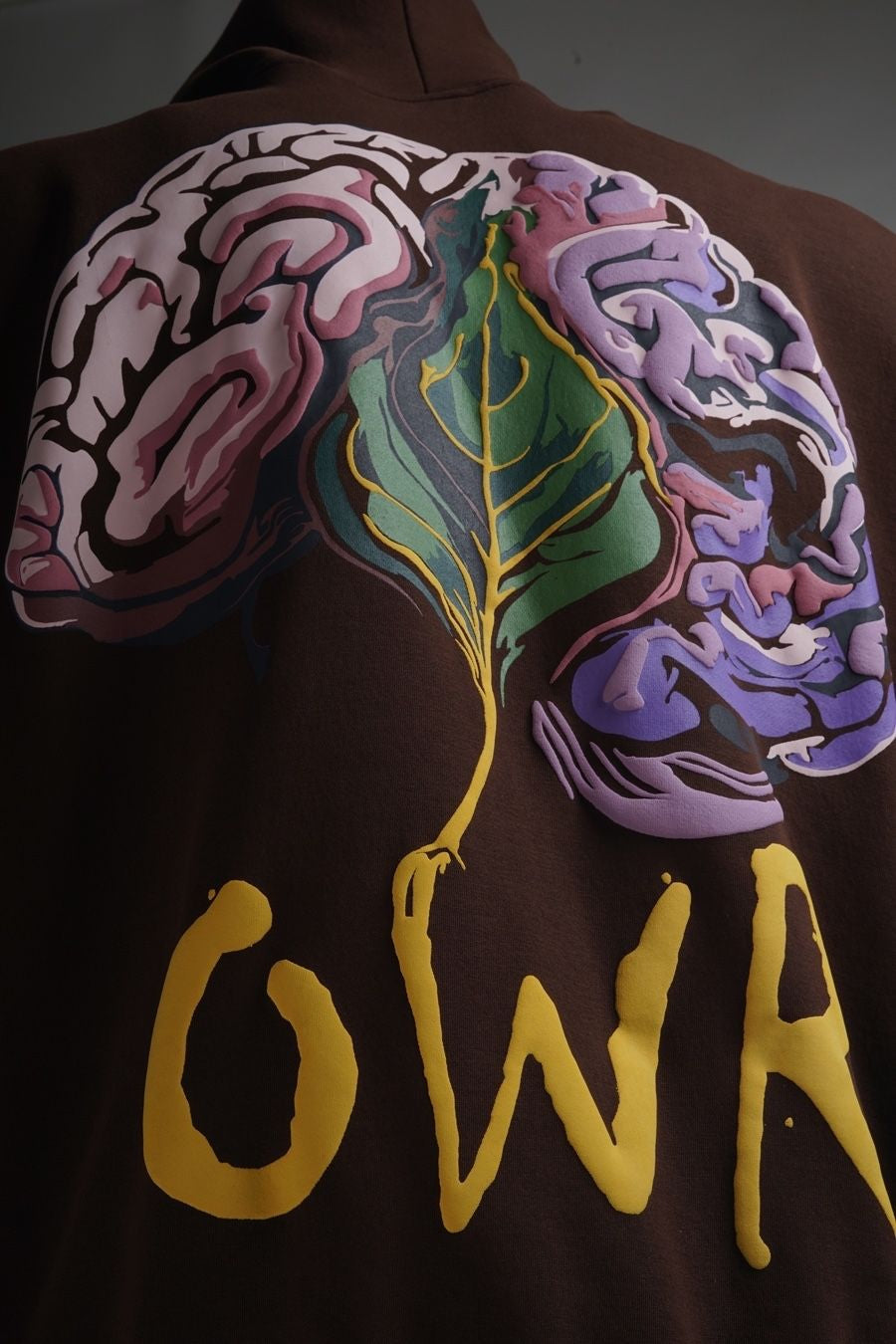 Mastishk Vikas Hoodie